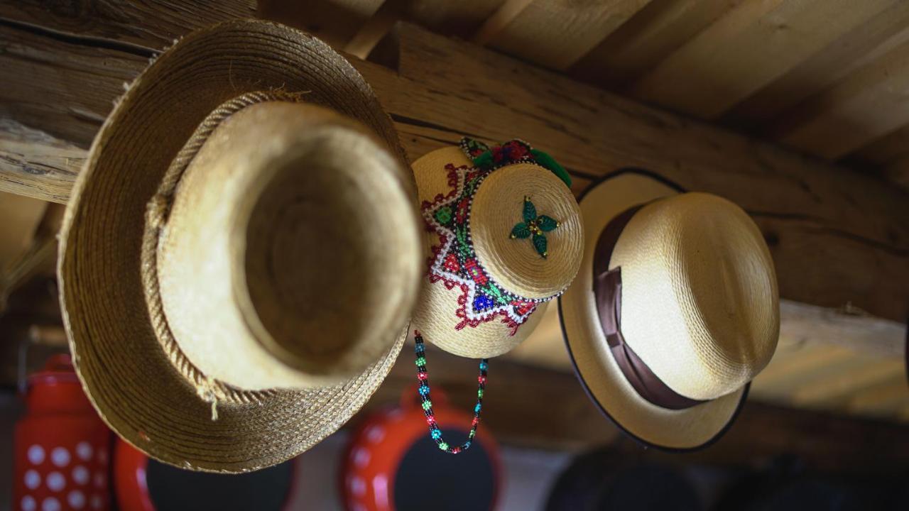 Iz De Maramures Rural Hotel (Adults Only) Surdesti  Exterior foto